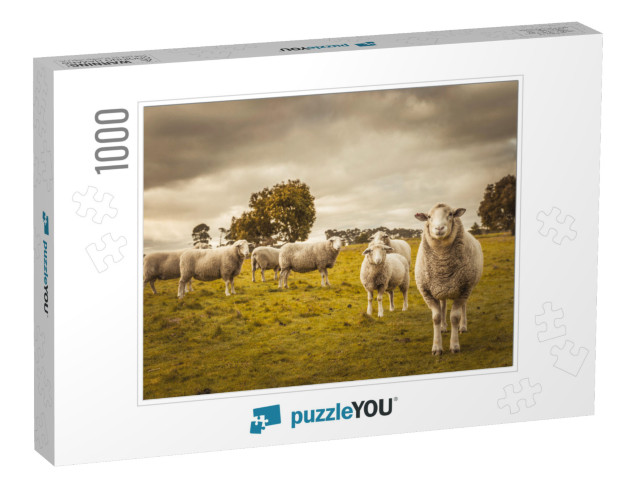 Australian Countryside Rural Autumn Landscape. Group of S... Jigsaw Puzzle with 1000 pieces