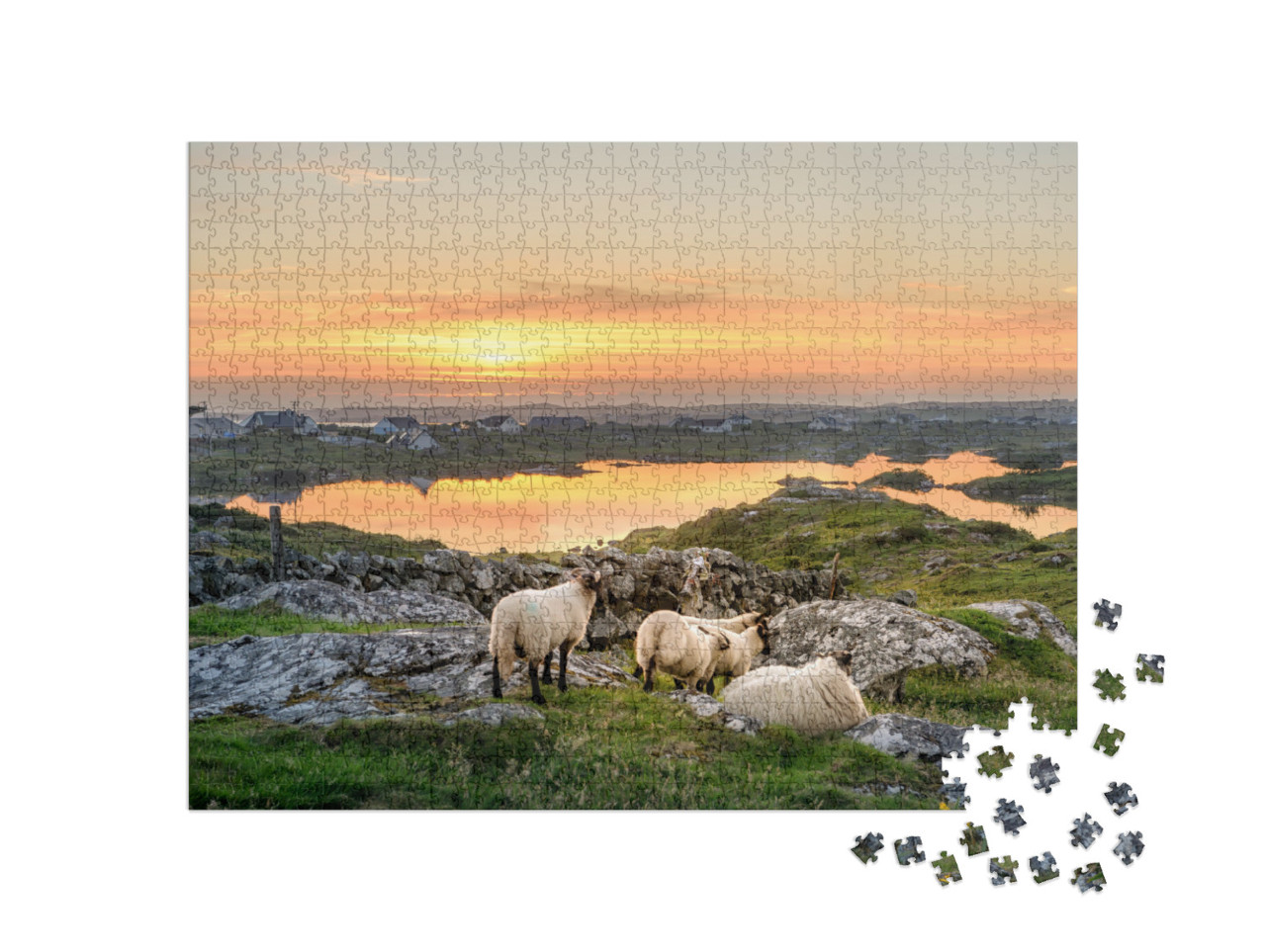 Ireland Sunset At a Lake with Sheep Near Clifden, Roundst... Jigsaw Puzzle with 1000 pieces