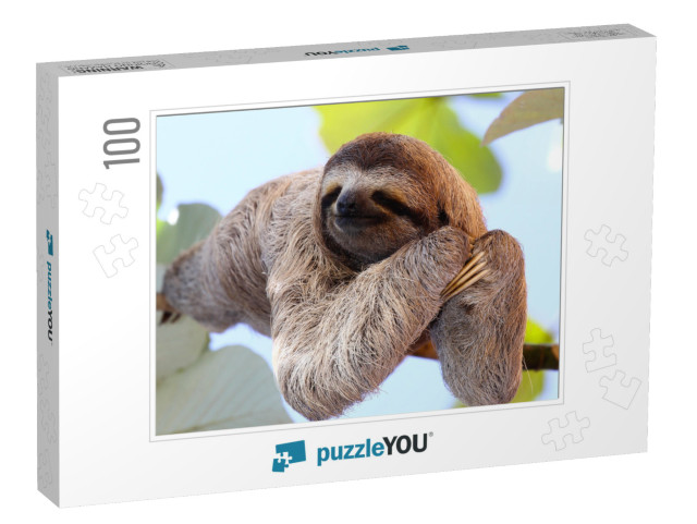 Happy Sloth Hanging on the Tree... Jigsaw Puzzle with 100 pieces