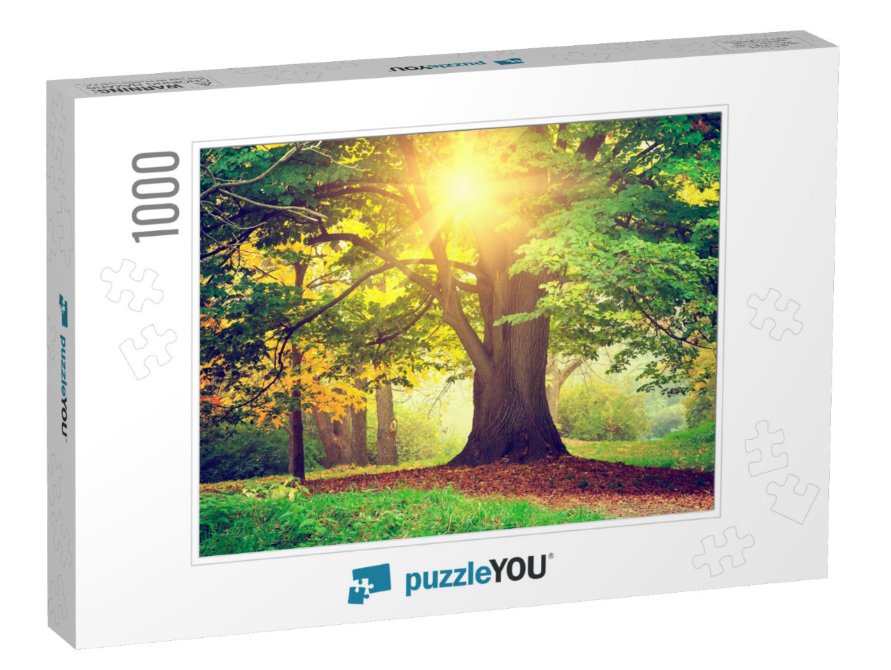 Beautiful Park Tree... Jigsaw Puzzle with 1000 pieces