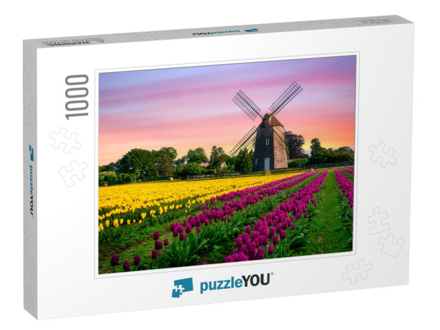 Windmill in Beautiful Color Tulips Field... Jigsaw Puzzle with 1000 pieces