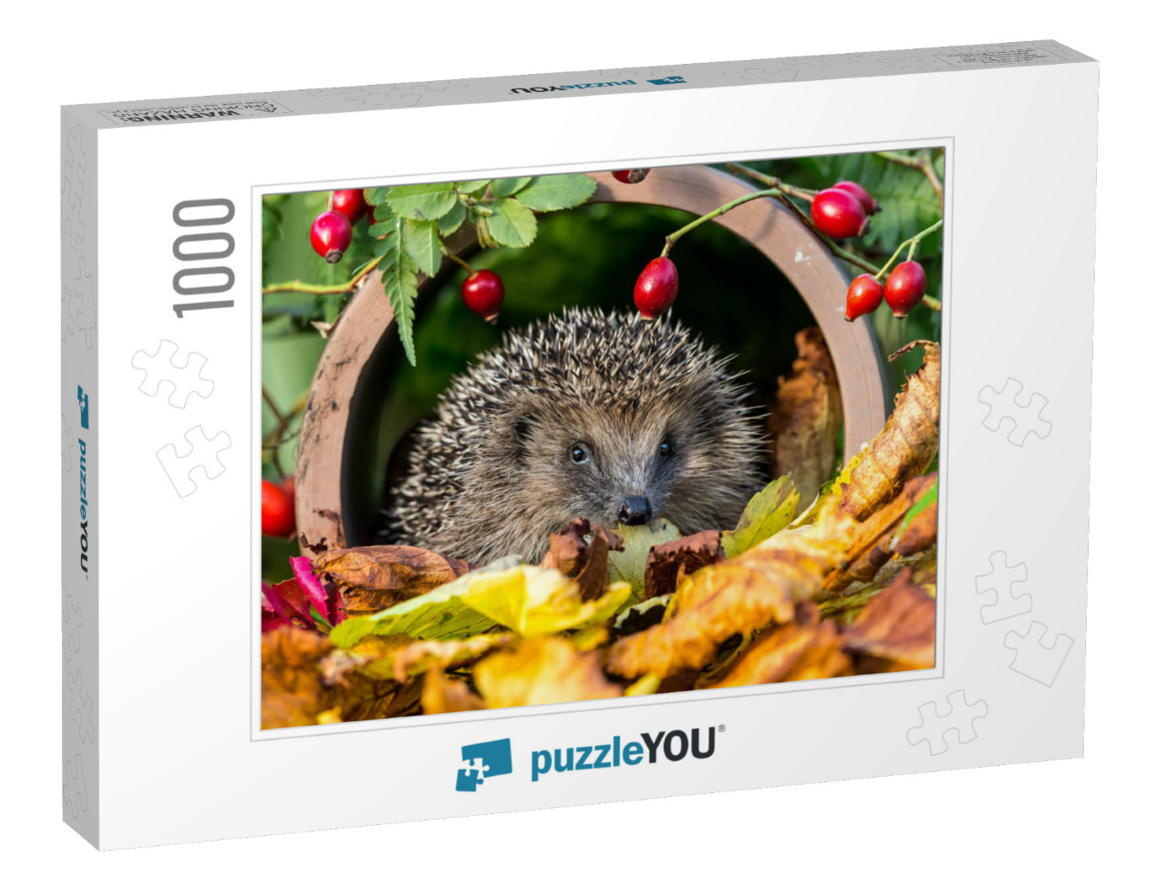 Hedgehog in Golden Autumn Leaves Surrounded by Red Rosehi... Jigsaw Puzzle with 1000 pieces