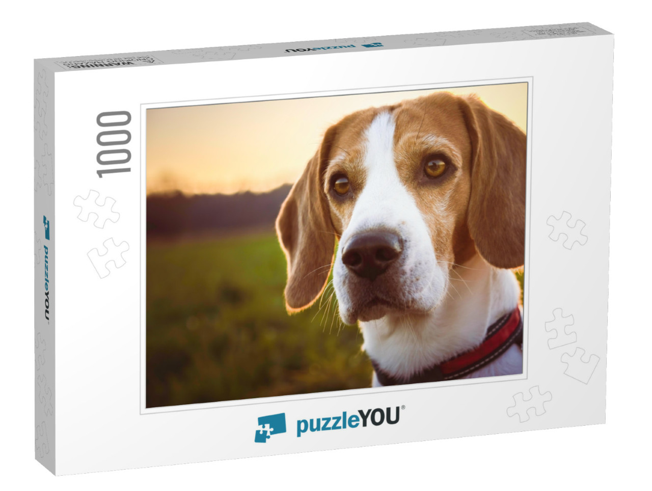 Dog Portrait Backlit Background. Beagle Dog Portrait Agai... Jigsaw Puzzle with 1000 pieces