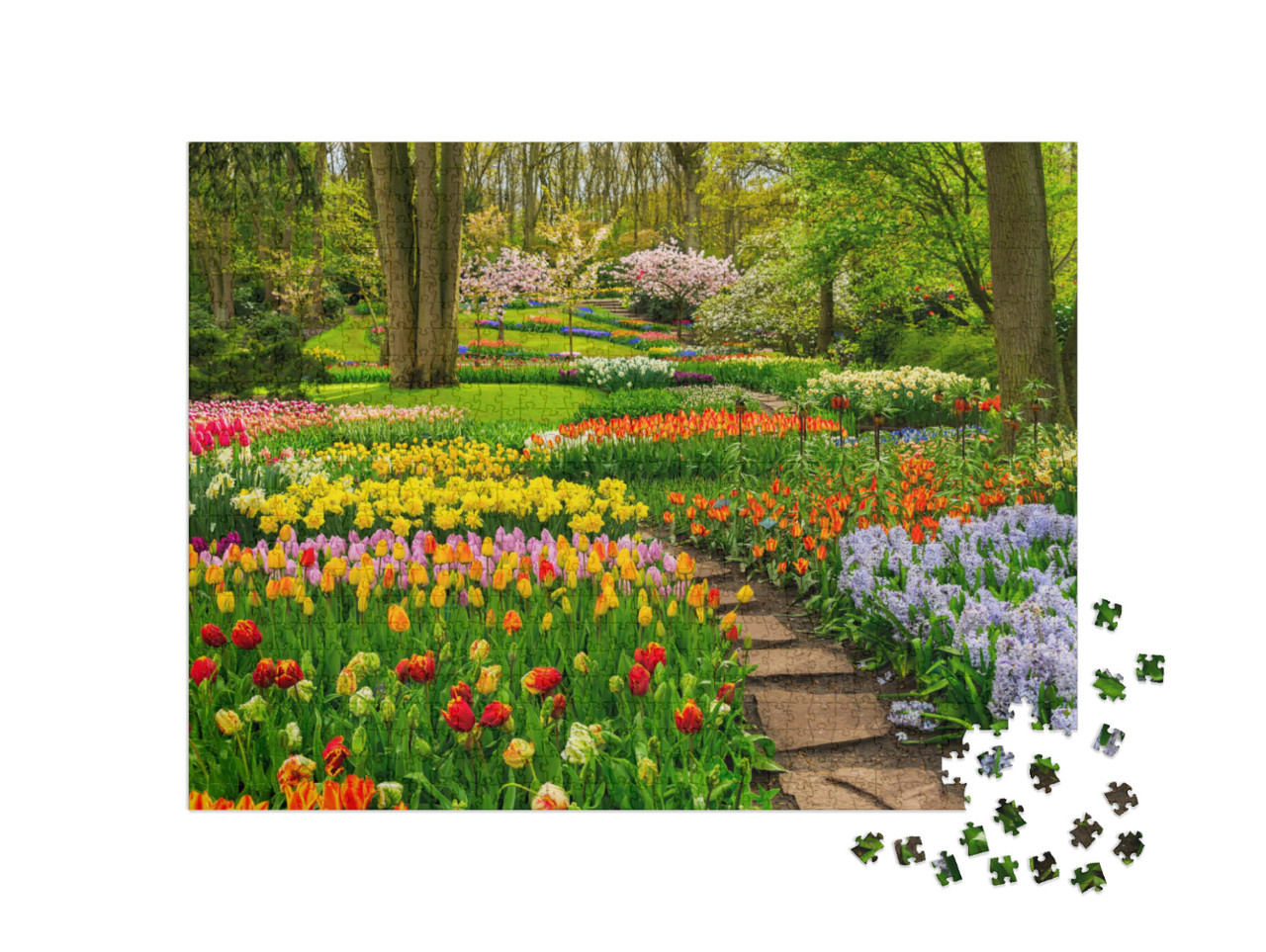 Colorful Tulips Flowerbeds & Stone Path in an Spring Form... Jigsaw Puzzle with 1000 pieces