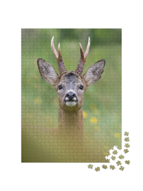 Impressive Portrait of a Wild Roe Deer with Big Antlers T... Jigsaw Puzzle with 1000 pieces