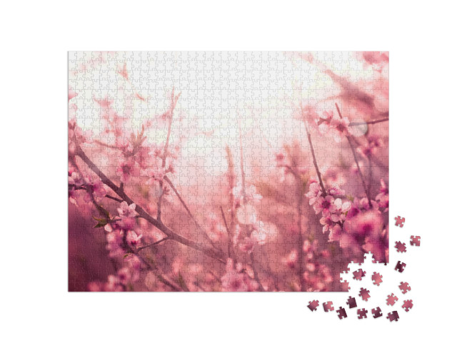 Blossoming Cherry Trees in Spring, Spring Background... Jigsaw Puzzle with 1000 pieces