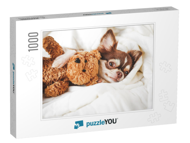 Cute Chihuahua Puppy Sleeping with Teddy Bear on the Whit... Jigsaw Puzzle with 1000 pieces