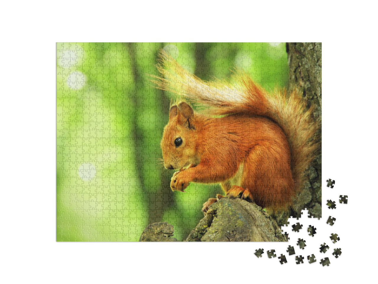 Sciurus. Rodent. the Squirrel Sits on a Tree & Eats. Beau... Jigsaw Puzzle with 1000 pieces