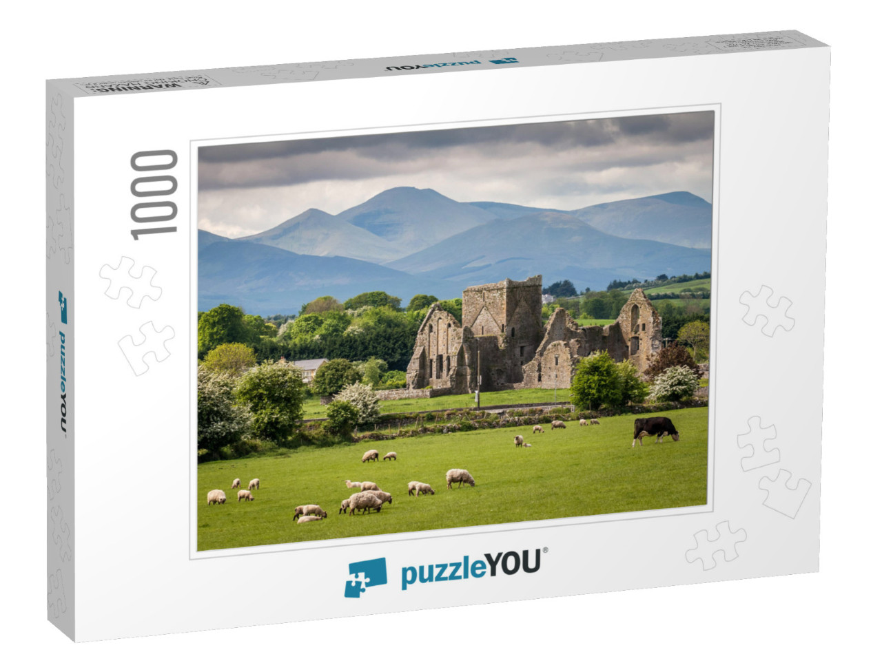 Idyllic Irish Landscape... Jigsaw Puzzle with 1000 pieces