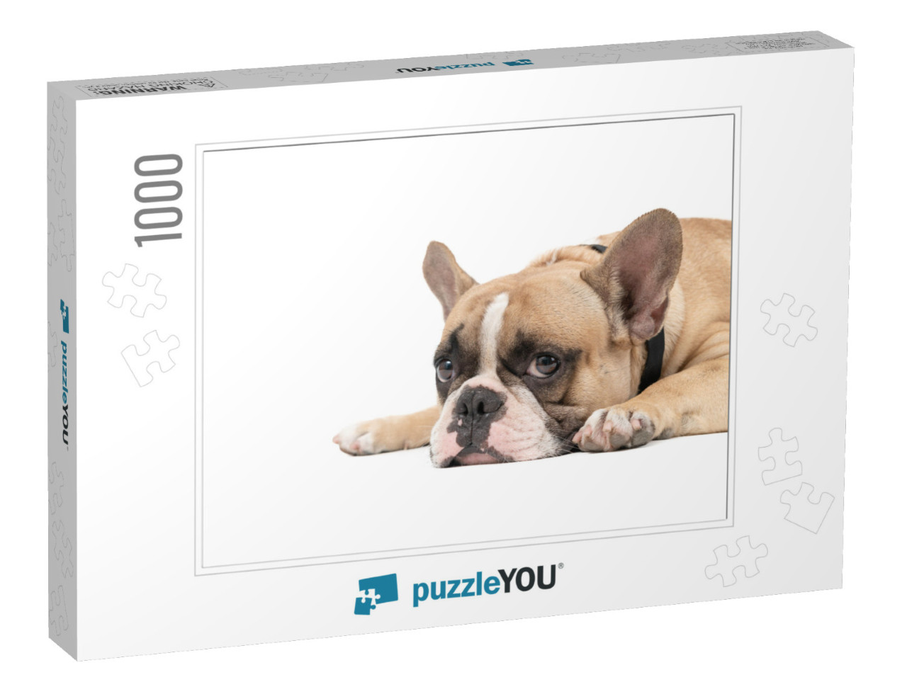 An Anorexic French Bulldog Lying on a White Background, H... Jigsaw Puzzle with 1000 pieces