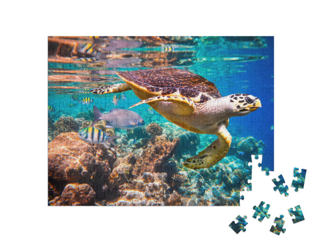 Hawksbill Turtle - Eretmochelys Imbricata Floats Under Wa... Jigsaw Puzzle with 200 pieces