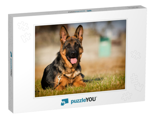 German Shepherd Puppy Age 5 Months in the Grass... Jigsaw Puzzle