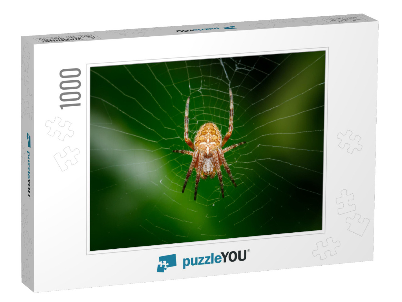 Closeup on a Cross Spider, Also Called European Garden Sp... Jigsaw Puzzle with 1000 pieces