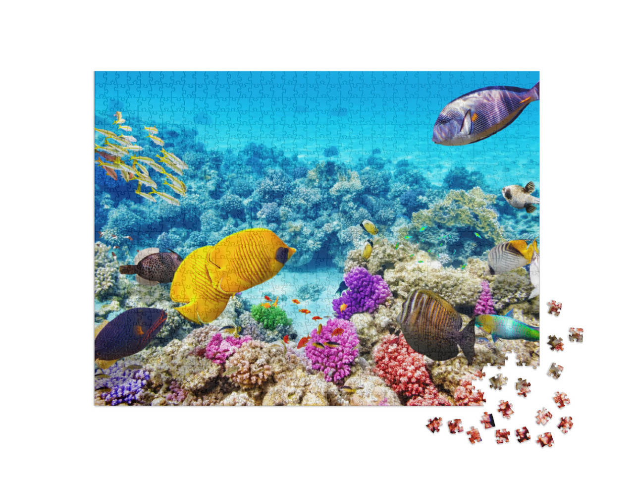 Wonderful & Beautiful Underwater World with Corals & Trop... Jigsaw Puzzle with 1000 pieces