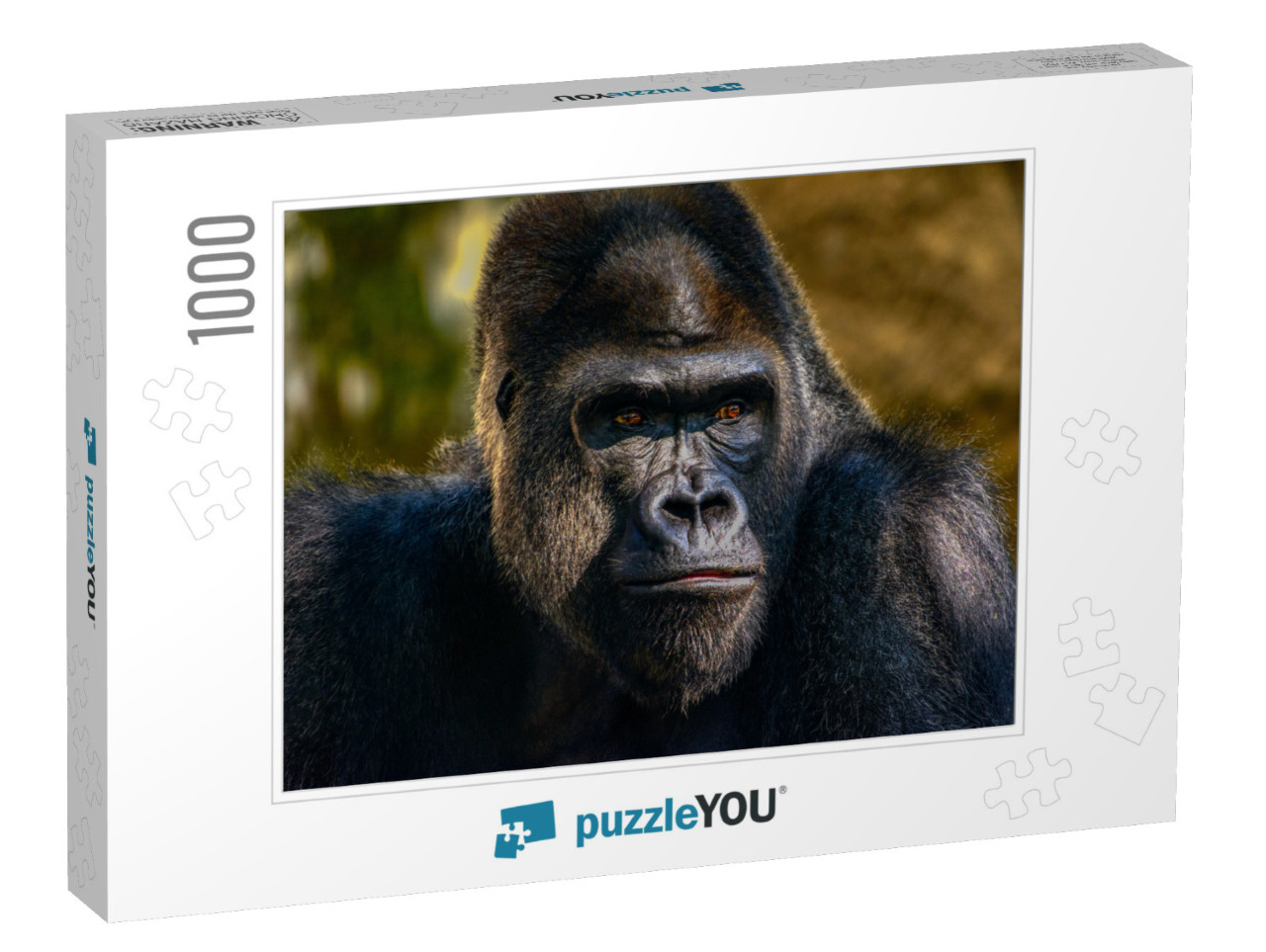 Male Silverback Western Lowland Gorilla, Gorilla Gorilla... Jigsaw Puzzle with 1000 pieces