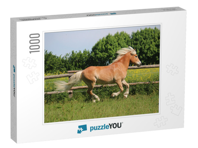 Beautiful Haflinger Horse is Running on the Paddock in th... Jigsaw Puzzle with 1000 pieces