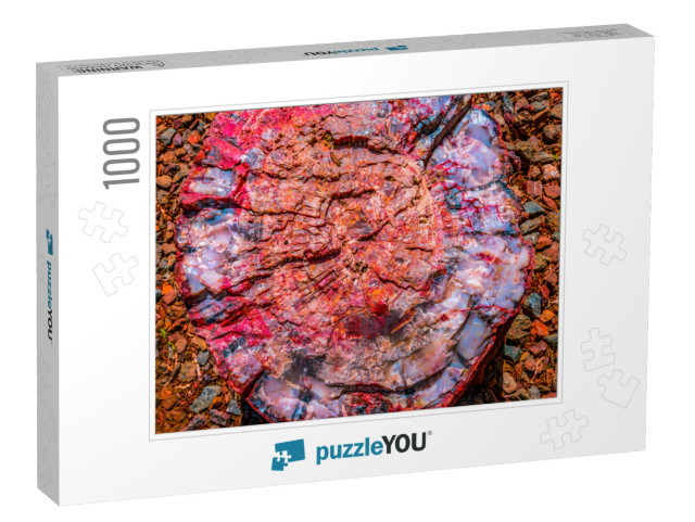 Red Blue Orange Petrified Wood Log Abstract Visitor Cente... Jigsaw Puzzle with 1000 pieces