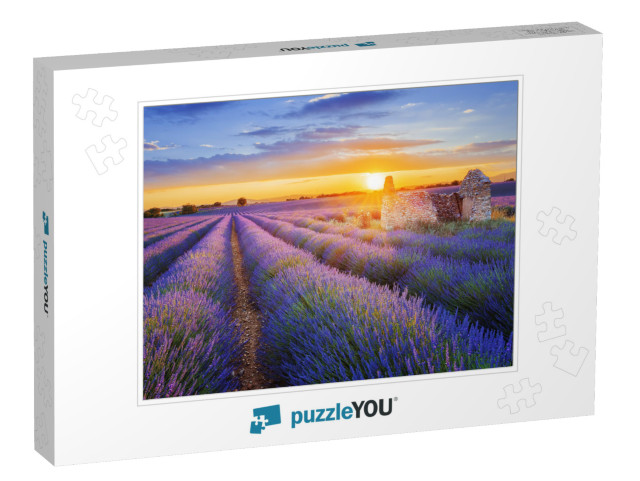 Sun is Setting Over a Beautiful Purple Lavender Filed in... Jigsaw Puzzle