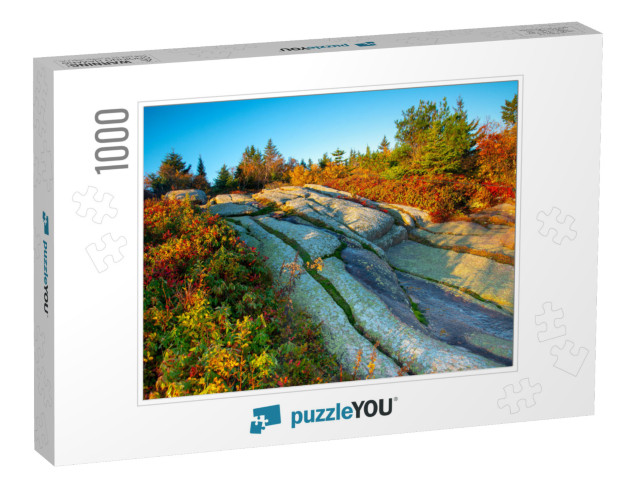 Morning Light on Cadillac Mountain in Acadia National Par... Jigsaw Puzzle with 1000 pieces