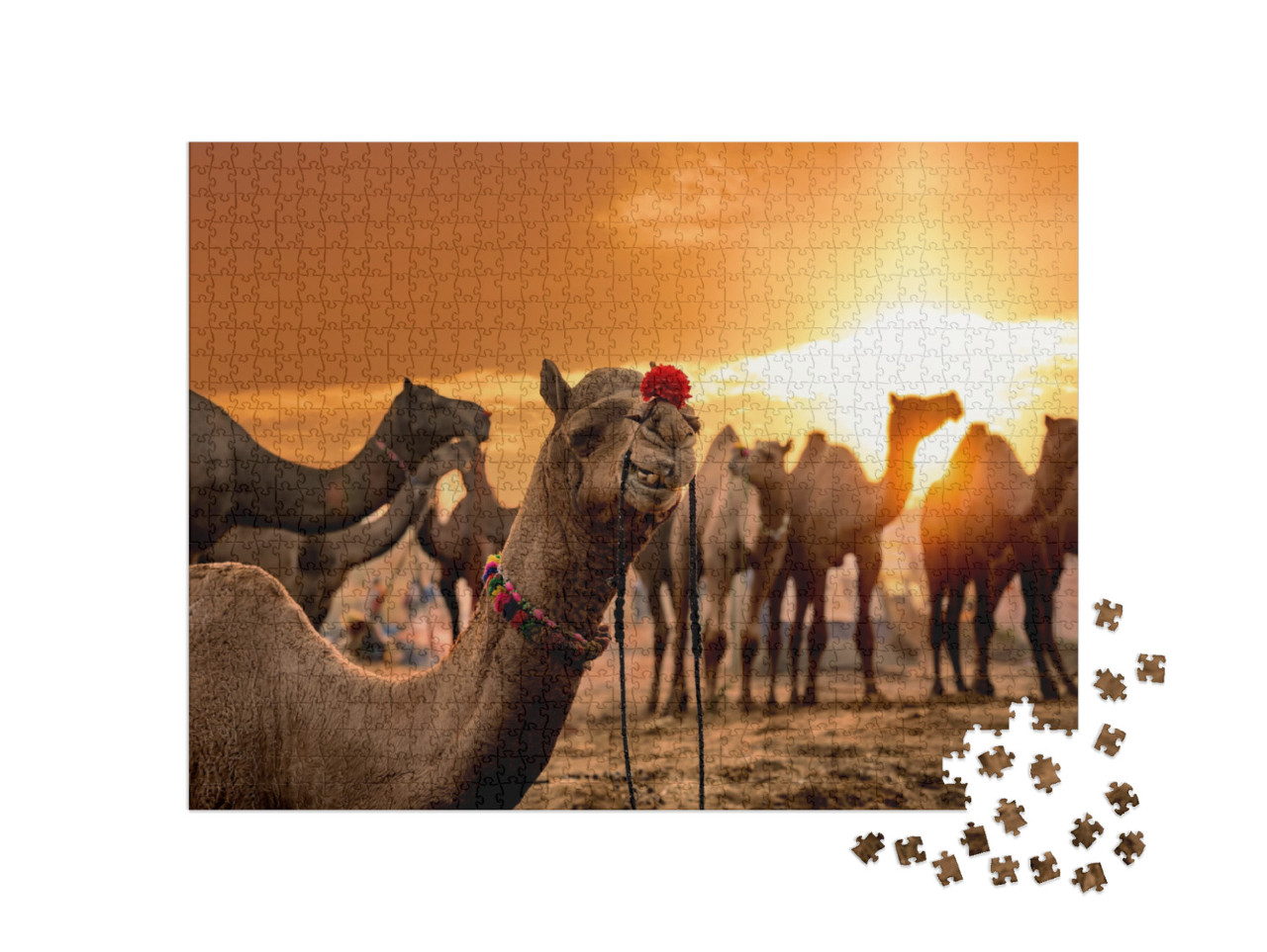 Camels At the Pushkar Fair, Also Called the Pushkar Camel... Jigsaw Puzzle with 1000 pieces