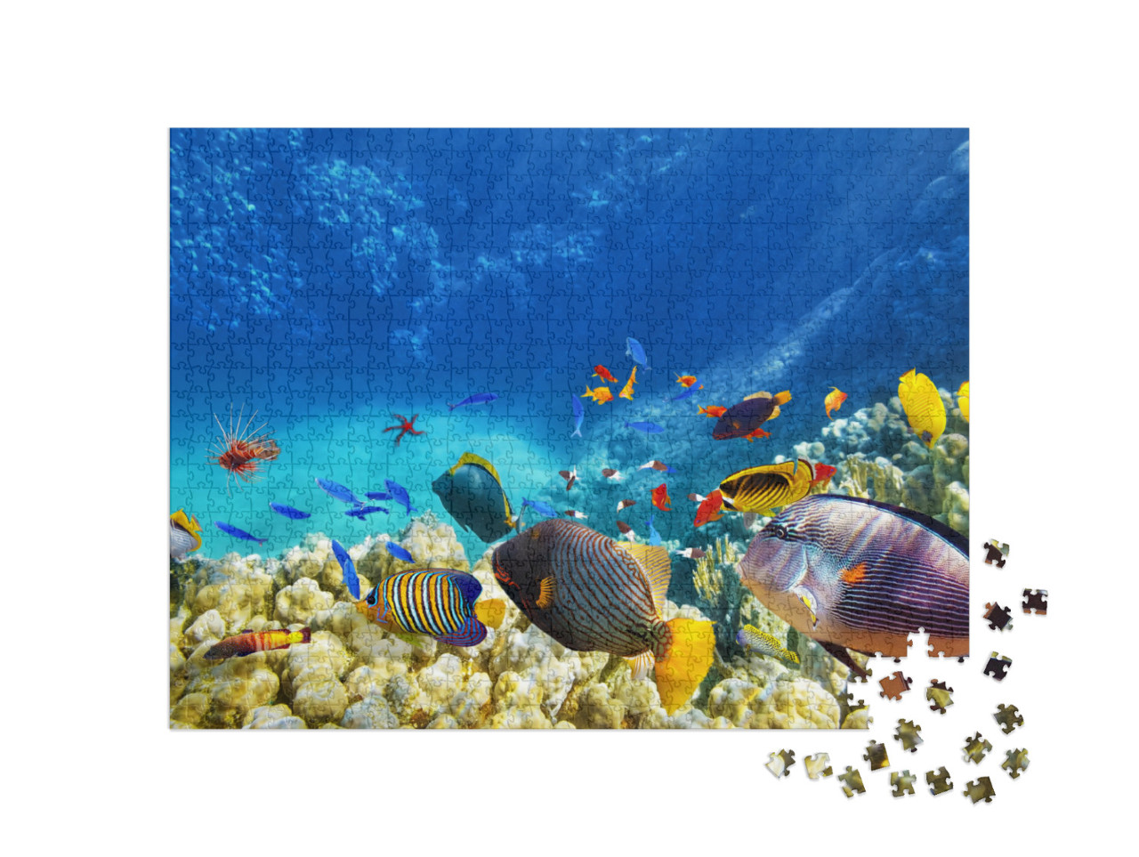 Wonderful & Beautiful Underwater World with Corals & Trop... Jigsaw Puzzle with 1000 pieces