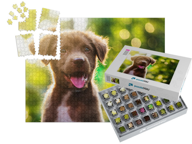 Cute Brown Smile Happy Labrador Retriever Puppy Against F... | SMART SORTED® | Jigsaw Puzzle with 1000 pieces