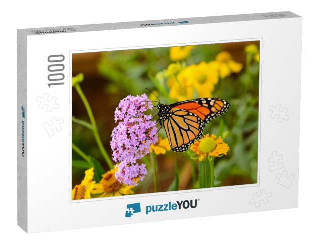 Monarch Butterfly - a Monarch Butterfly Feeding on Pink F... Jigsaw Puzzle with 1000 pieces