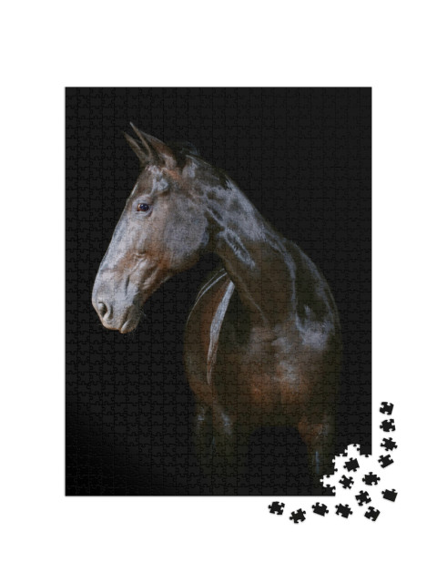 Horse Isolated on Black... Jigsaw Puzzle with 1000 pieces