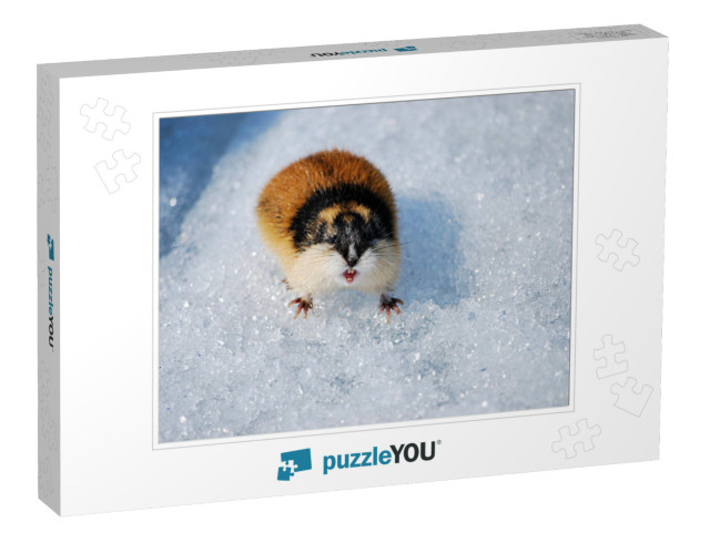 Angry Lemming in the Snow... Jigsaw Puzzle