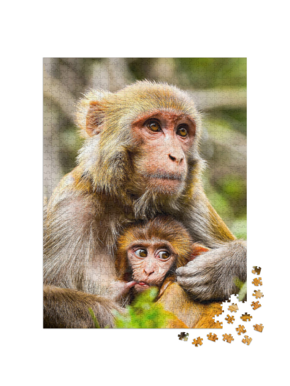 Monkey Mother with Baby Portrait... Jigsaw Puzzle with 1000 pieces