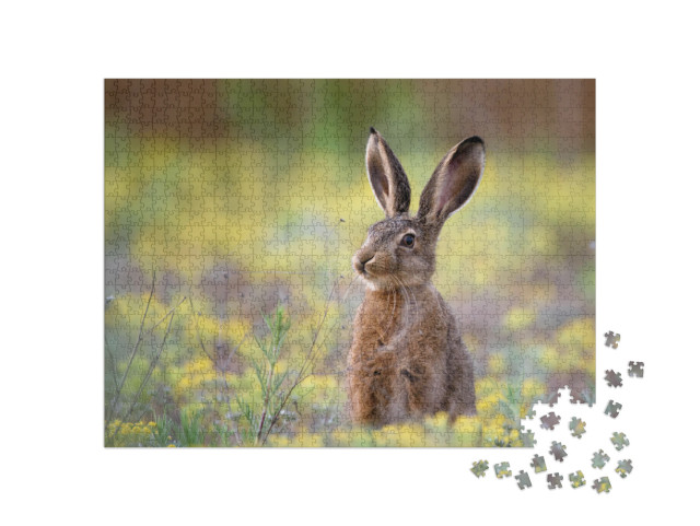 European Hare Stands in the Grass & Looking At the Camera... Jigsaw Puzzle with 1000 pieces