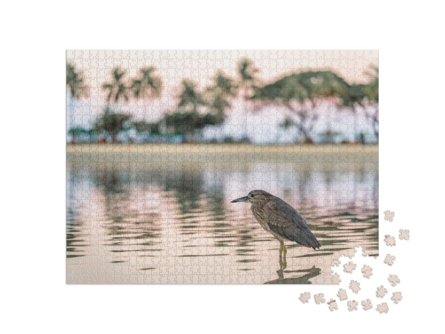 A Beautiful Bird At a Lagoon in Honolulu, Hawaii, At Waik... Jigsaw Puzzle with 1000 pieces