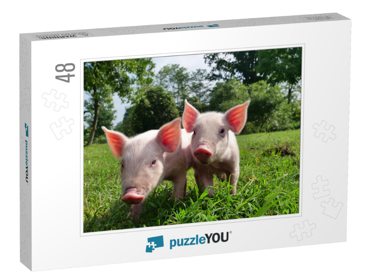 Pig Cute Newborn Standing on a Grass Lawn. Concept of Bio... Jigsaw Puzzle with 48 pieces