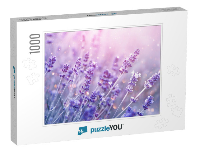 Lavender Flower Field, Blooming Violet Fragrant Lavender... Jigsaw Puzzle with 1000 pieces