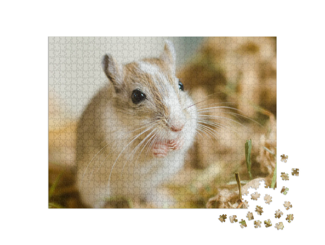 Mongolian Gerbils Meriones as Pet... Jigsaw Puzzle with 1000 pieces