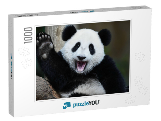 A Playful Happy Panda in China... Jigsaw Puzzle with 1000 pieces