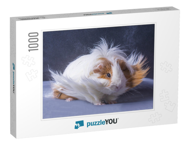 A Guinea Pigs Hair is Blowing in the Wind... Jigsaw Puzzle with 1000 pieces