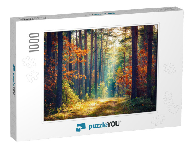 Autumn Forest Nature. Vivid Morning in Colorful Forest wi... Jigsaw Puzzle with 1000 pieces