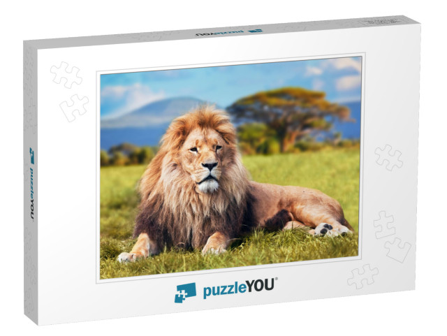 Big Lion Lying on Savannah Grass. Landscape with Characte... Jigsaw Puzzle