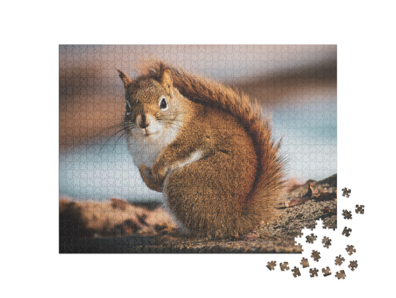 Beautiful Little Squirrel in the Forest... Jigsaw Puzzle with 1000 pieces