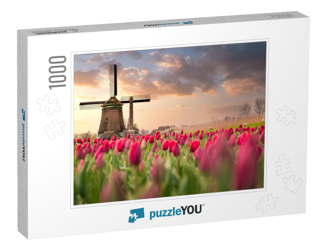 Tulip Fields & Windmill in Netherland, Near Lisse... Jigsaw Puzzle with 1000 pieces