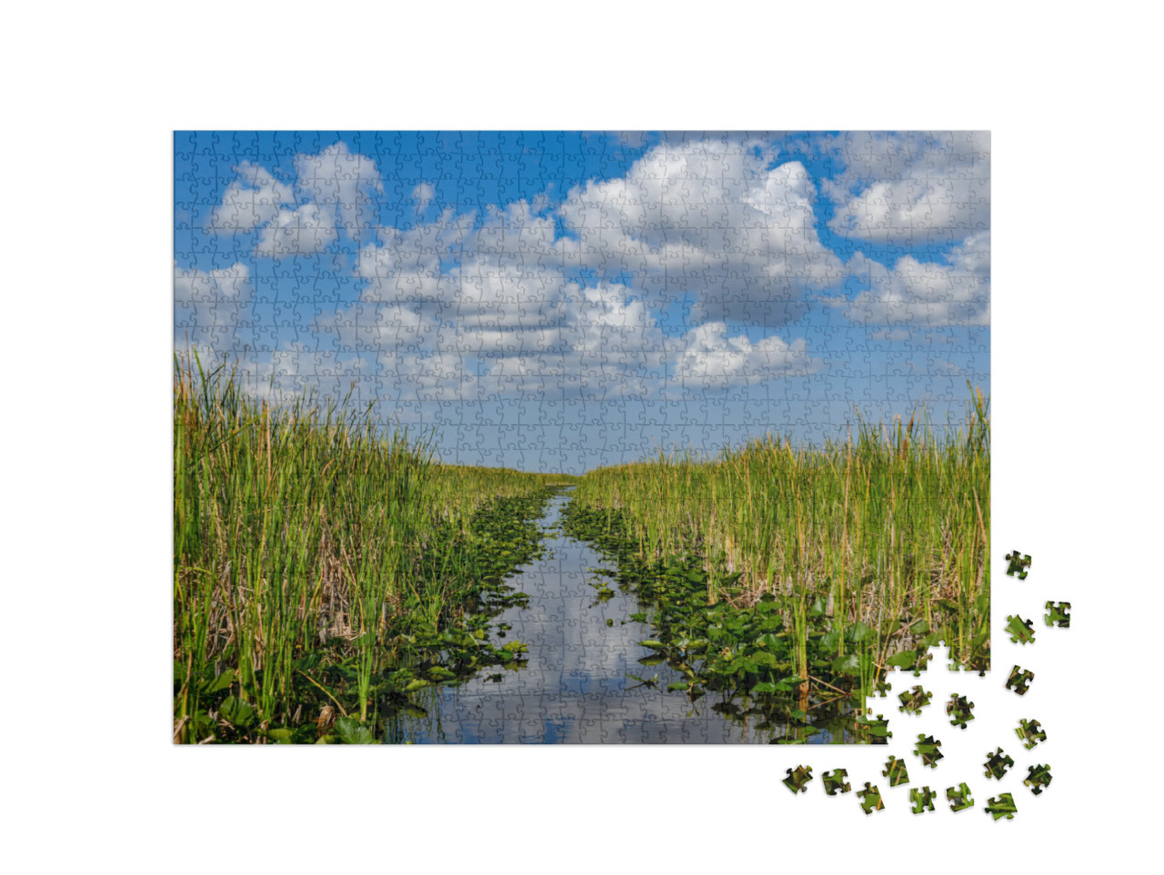 Florida Wetland in the Everglades National Park in Usa. P... Jigsaw Puzzle with 1000 pieces