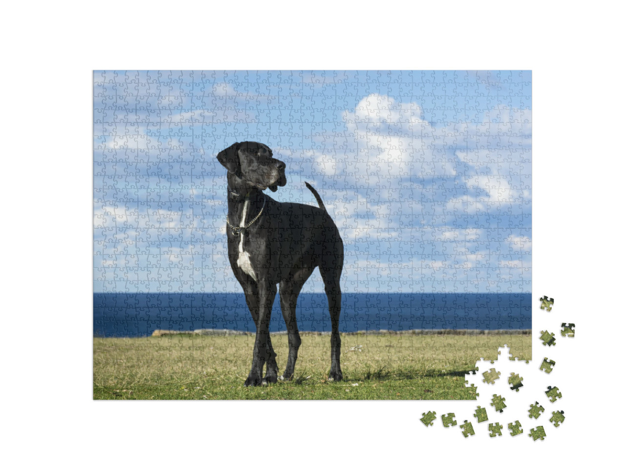 Great Dane by the Sea... Jigsaw Puzzle with 1000 pieces