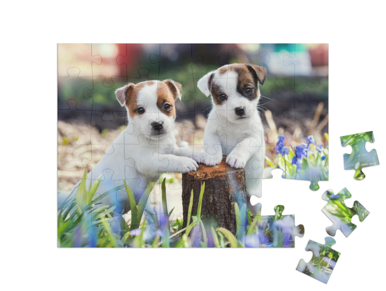 Two White Puppy Jack Russell Terrier Standing on Tree Stu... Jigsaw Puzzle with 48 pieces