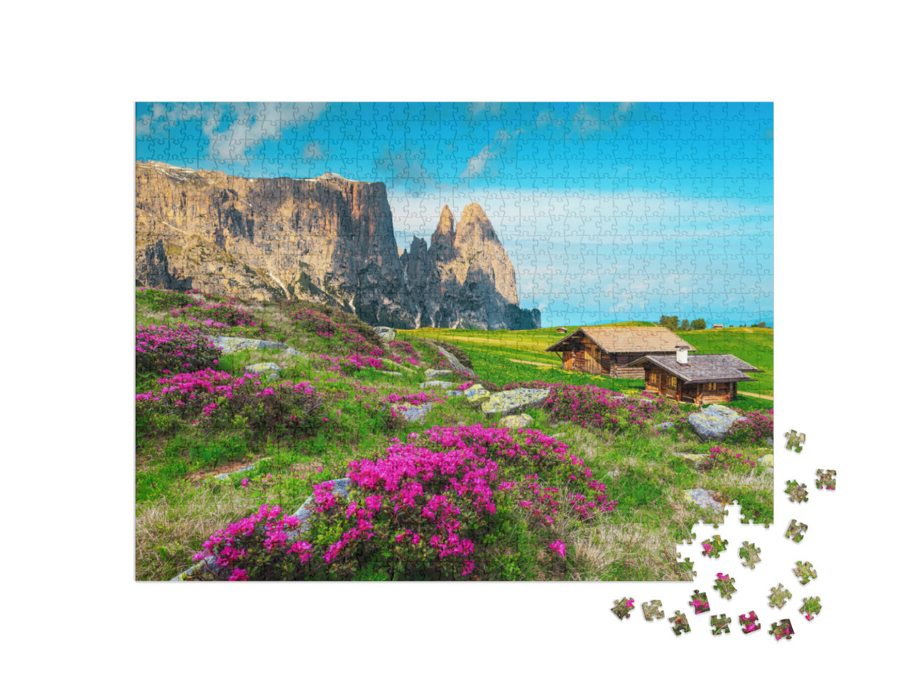 Alpe Di Siusi Mountain Resort with Amazing Flowery Fields... Jigsaw Puzzle with 1000 pieces