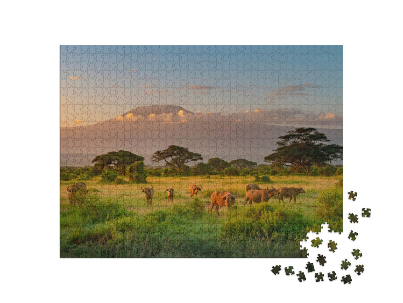 Mount Kilimanjaro in Morning Light, Amboseli, Kenya... Jigsaw Puzzle with 1000 pieces