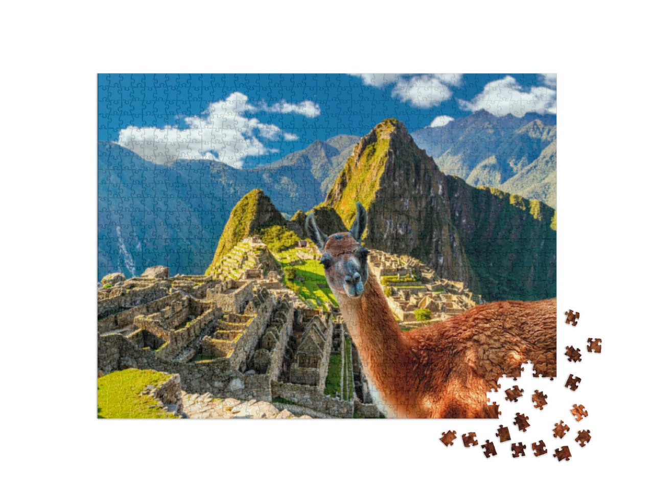 Funny Scene with Llama Standing At Machu Picchu Overlook... Jigsaw Puzzle with 1000 pieces