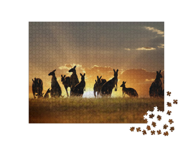 Australian Outback Kangaroo Series... Jigsaw Puzzle with 1000 pieces