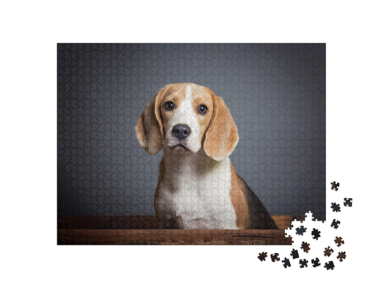 Adorable Portrait of a Blue Beagle Puppy... Jigsaw Puzzle with 1000 pieces