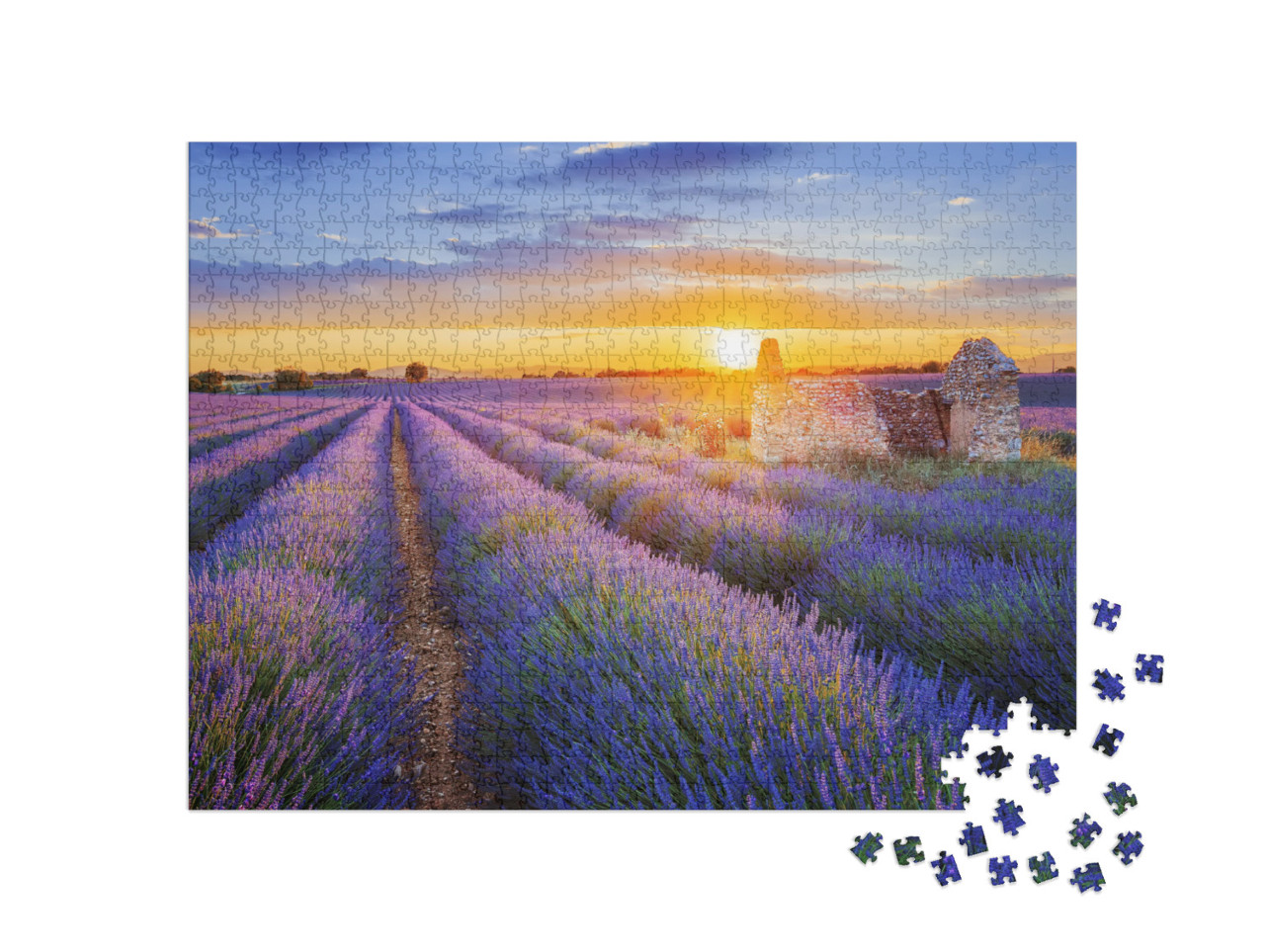 Sun is Setting Over a Beautiful Purple Lavender Filed in... Jigsaw Puzzle with 1000 pieces